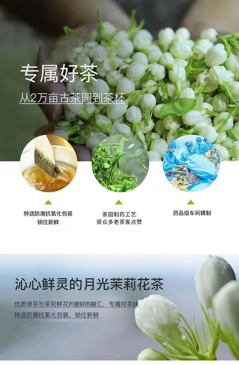 Classic Jasmine Tea Bags 50g