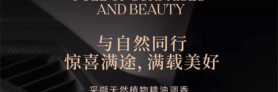 宋朝 悟吉系列 多功能车载香氛香薰 空气净化 皆是黑马