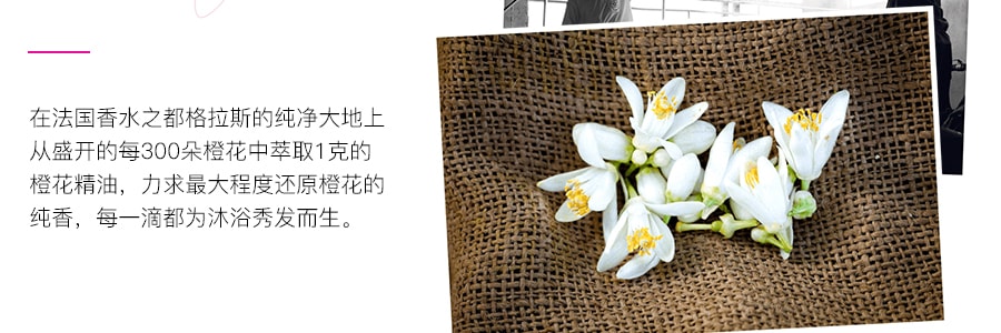 日本DIANE黛丝恩 BONHEUR柏娜露 天然植物保湿润泽护发素 橙花香型 500ml
