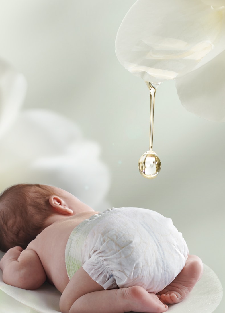 【美国直邮】 Bc Babycare 山茶轻柔婴儿纸尿裤 L码-40片/包 适用月龄7-12个月(9-14kg)