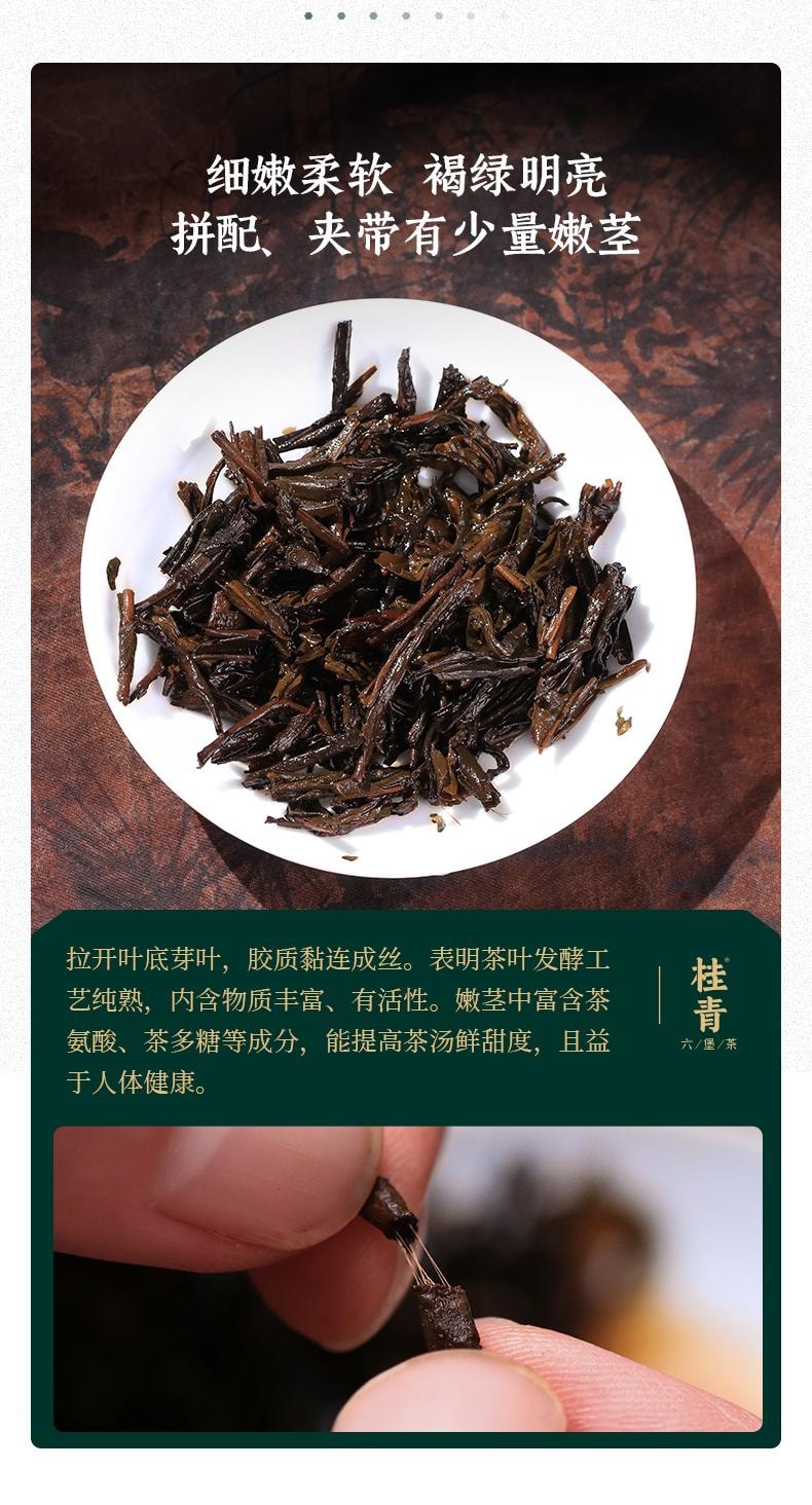  小師姐評茶【美國現貨秒發】 2018年六堡茶茶包 黑茉莉 老樹群種 非遺雙蒸雙壓製程 木板乾倉醇化 樟香蜜韻 滋味醇厚 祛濕避暑 促進代謝 40克(10包)