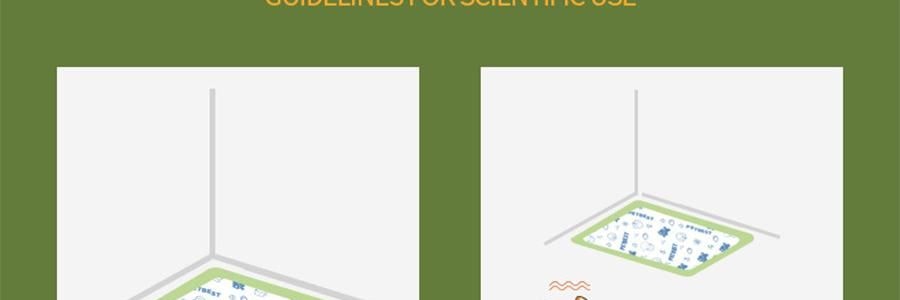 KIKOPALS Petbest系列 宠物厚实尿垫 带背胶可粘贴 宠物尿布 50p 45*60cm