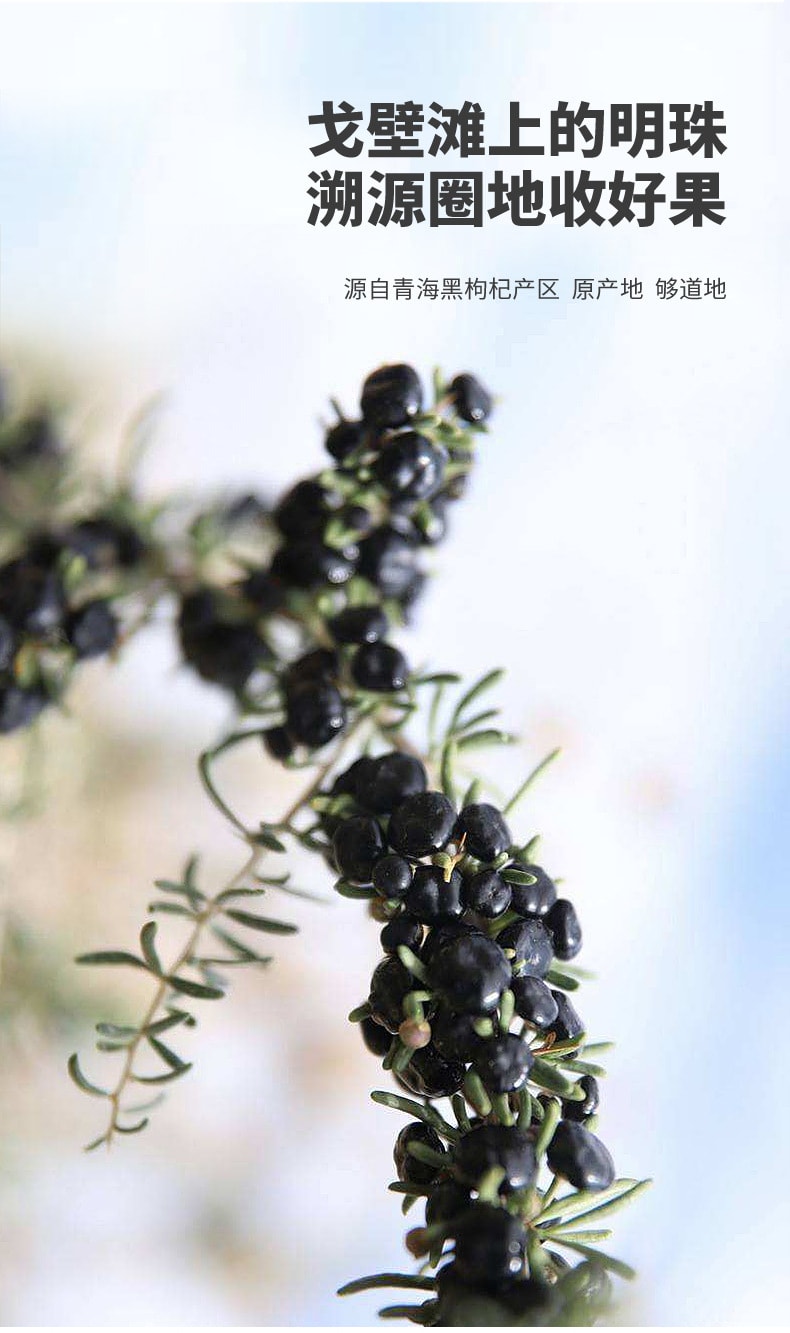 【中国直邮】宁安堡  蓝莓黑枸杞原浆蓝莓黑果枸杞子原浆提高免疫力 保护视力 改善睡眠  300ml/盒