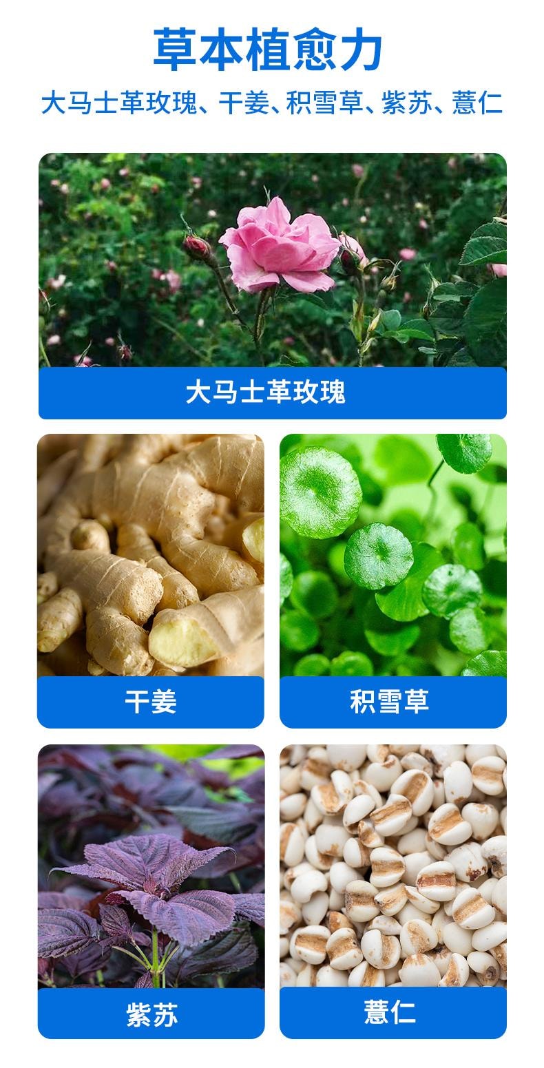 【中國直郵】 真不二 大馬士革玫瑰熱灸足貼 艾草暖腳貼暖足貼 5對/盒