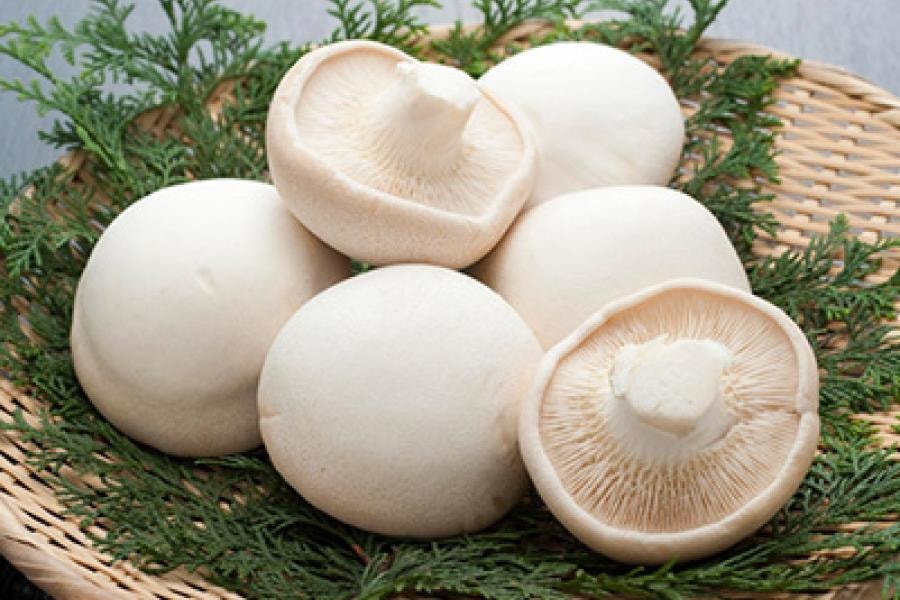 四季蔬果 白蘑菇 (1磅)