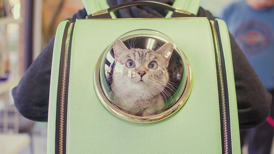 三叶草 太空舱猫书包Regina