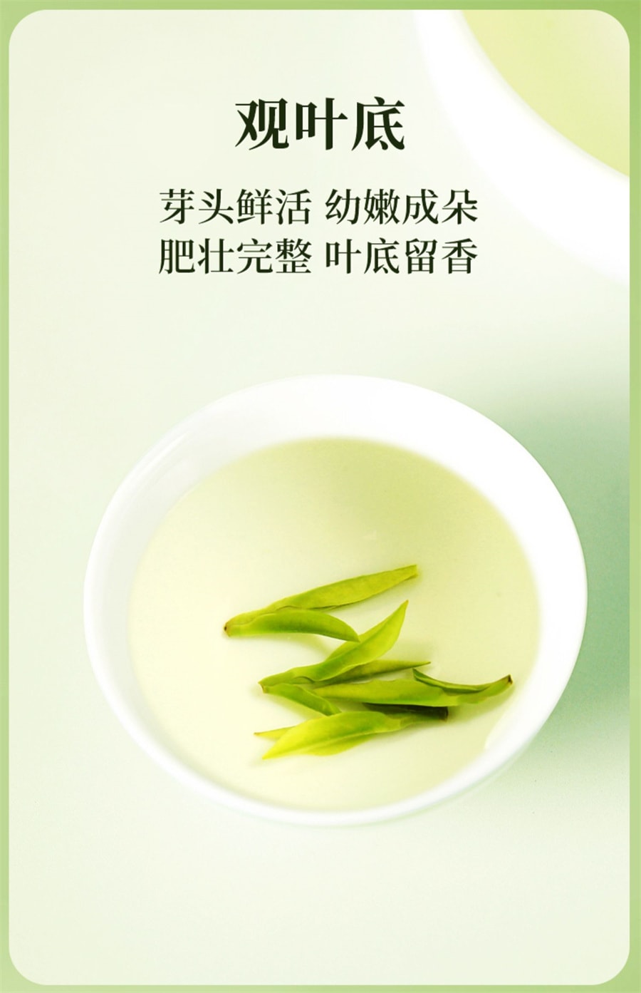 【中国直邮】一杯香  2023新茶龙井香明前茶叶绿茶春茶    250g/罐