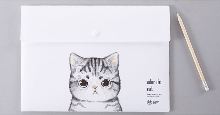 待改价审核销量低乐学办公(LEARN&WORK)  苏打猫系列按扣文件袋  白色加厚  4个装 