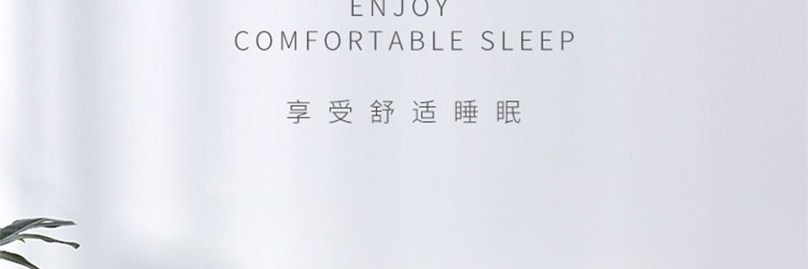 太湖雪 桑蠶絲枕頭 填充枕芯柔軟舒適單人抑菌 白色 48x74cm