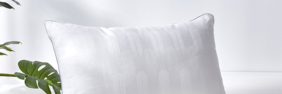 太湖雪 桑蚕丝枕头 填充枕芯柔软舒适单人抑菌 白色 48x74cm