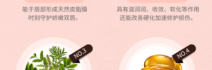 日本DHC 橄欖油護唇膏 1.5g COSME大賞受賞 日本版【超值3支裝】