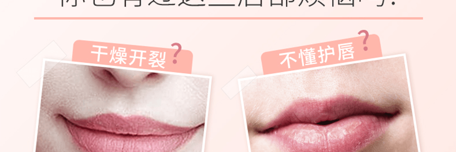 日本DHC 橄欖油護唇膏 1.5g COSME大賞受賞 日本版【超值3支裝】