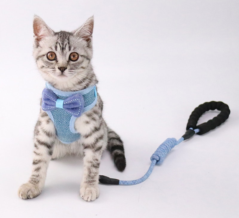【中国直邮】尾大的喵 猫咪牵引绳 蓝色 适合5-20斤猫咪 宠物用品