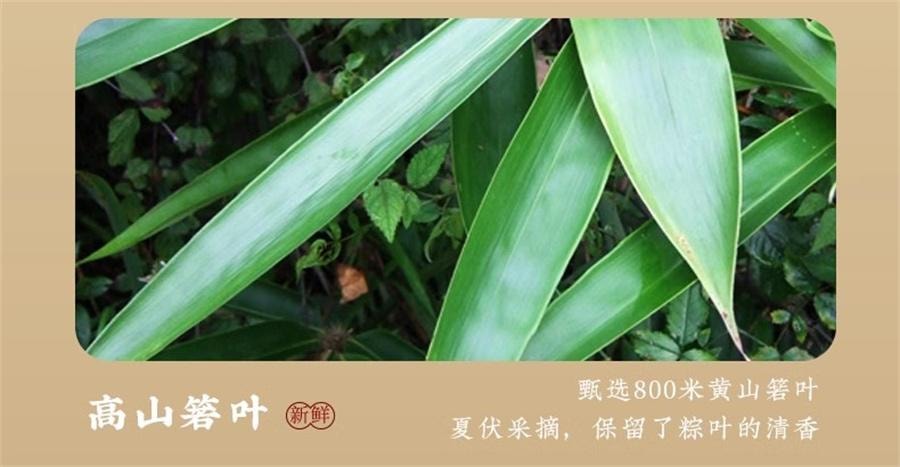 【中國直郵】 真真老老 嘉興粽子 金絲蜜棗粽200g