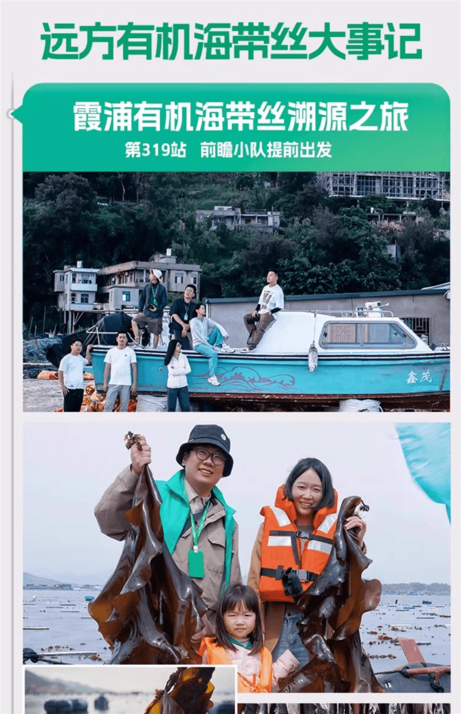 远方好物 【火锅搭子 霞浦食客有机压缩海带丝 (16gX10)】 15倍左右泡发率 0防腐0钠配方 真空包装更好保存