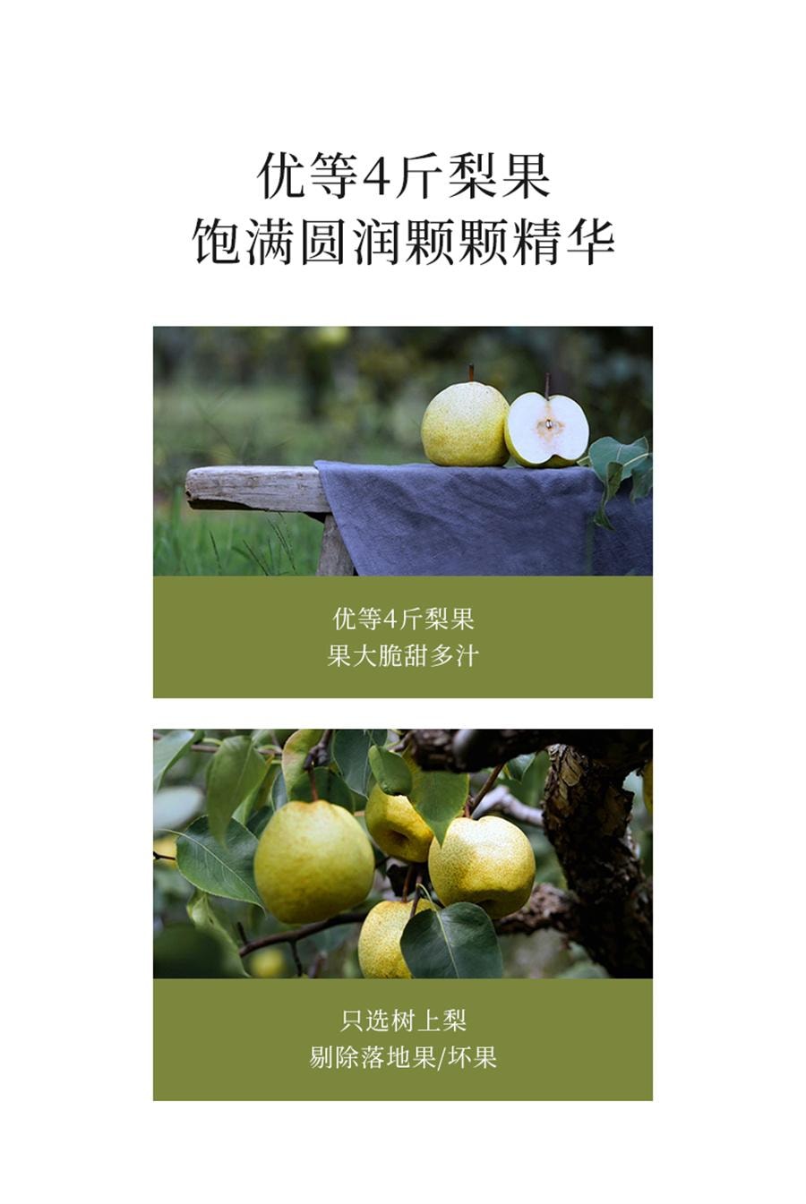 【中国直邮】 喜纯 纯梨膏古法熬制梨膏精选砀山酥梨纯梨膏泡水儿童纯梨膏无添加   200g/罐