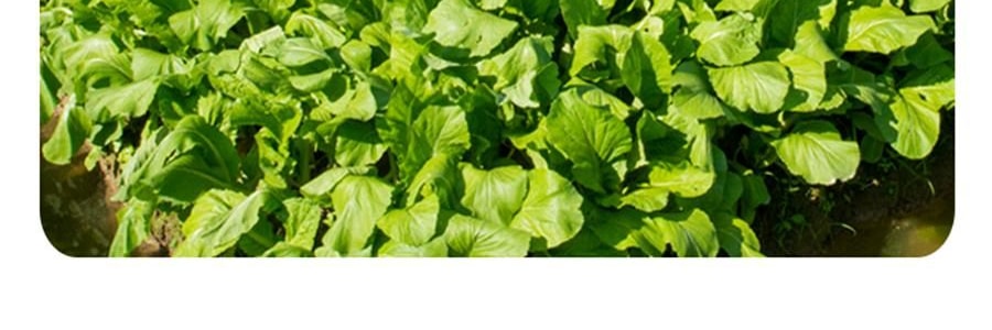 時樸 精選梅干菜 150g【可紅燒燁煮製作梅菜扣肉】【胖東來同款】