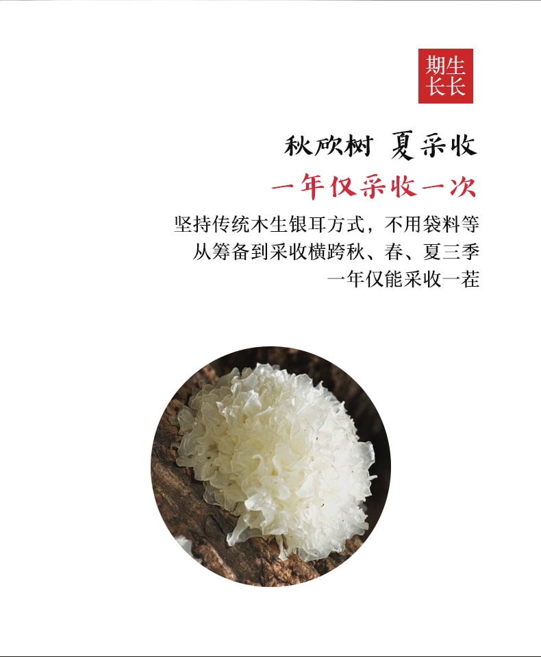 Tremella Yiner 80g