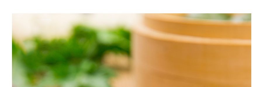 知味觀 艾草青團 豆沙餡 6枚入 420g【杭州特產】【青粿糯米團子】【收到後請冷藏】