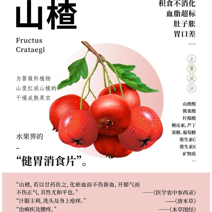 YAMIBUY 燕麟庄 Aubépine séchée sans pépins [125g] Aubépine pure Aubépine séchée Aide à la digestion 125g [Thé de santé pour mijoter et infuser, buvez pour un teint sain, le salon de beauté au bureau] Thé de santé pour mijoter, collation zéro déchet