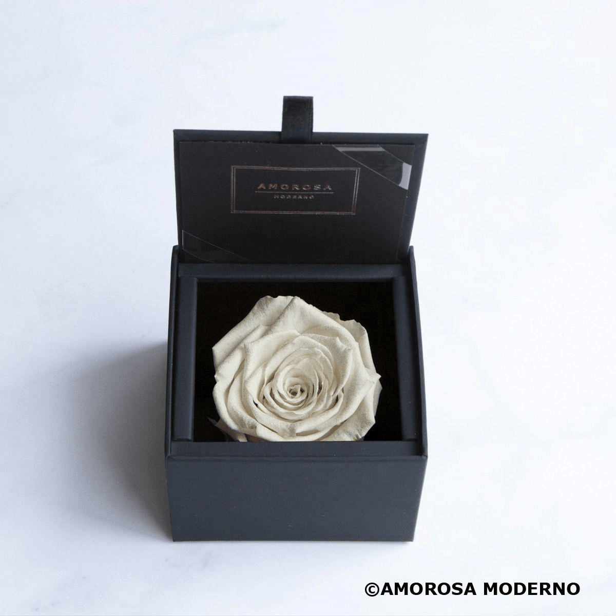 AMOROSA MODERNO Diamond Rose 85 [First Model] White - Yami.com