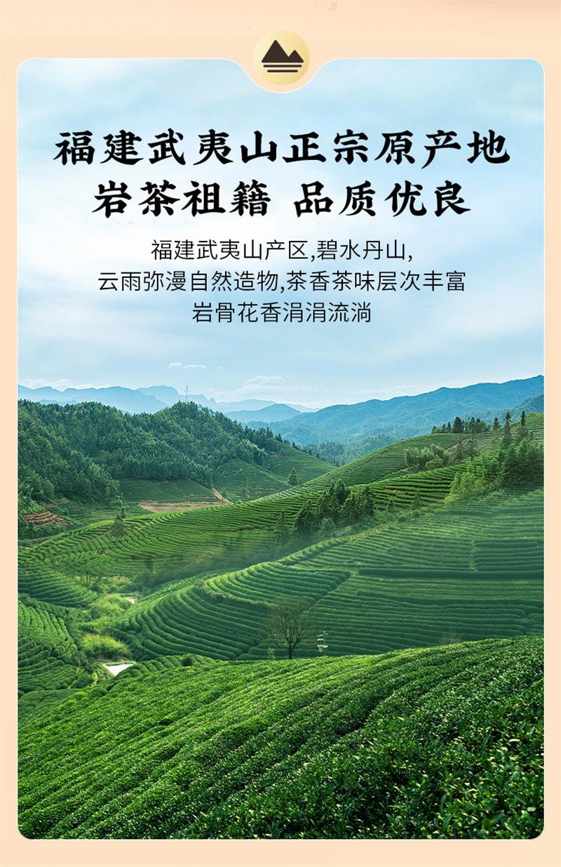 【中國直郵】 獅峰茶葉 武夷山大紅袍茶葉特級正宗小罐裝濃香烏龍茶岩茶 60g
