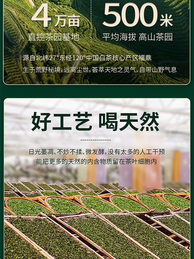 【中国直邮】李陌茶荒野白牡丹福鼎白茶早春采适口甜润小方片尊享礼盒装120g