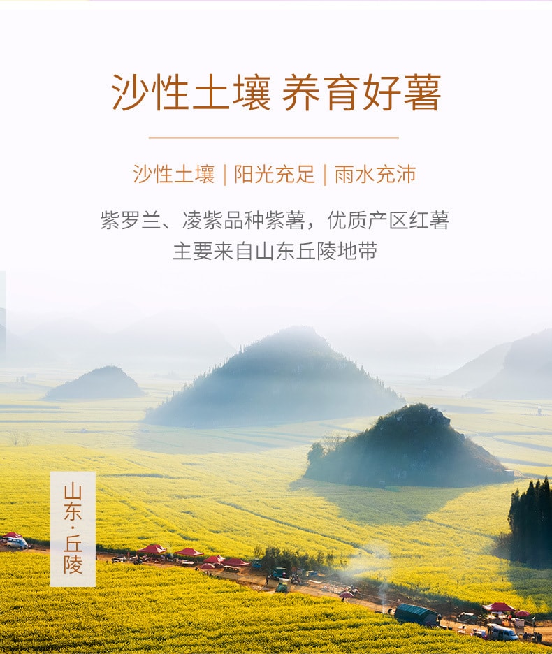 【中國直郵】百草味 香甜小紫薯紫羅蘭香紫薯誘惑108g/袋