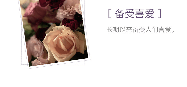 日本香堂||特制花之花线香-||玫瑰香 150支装