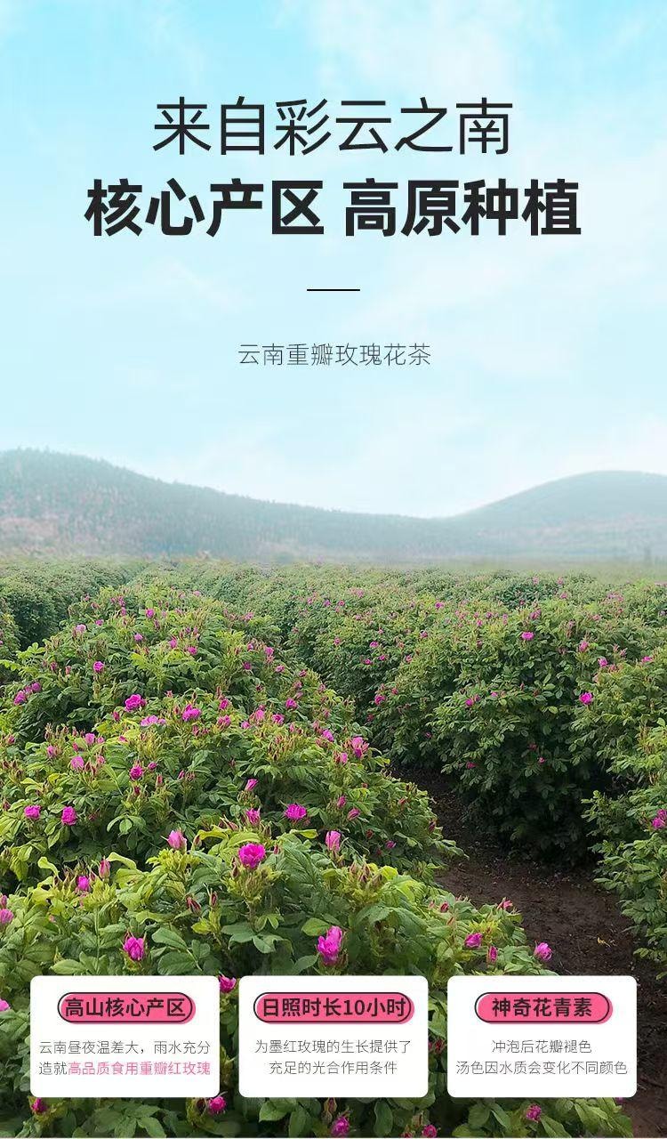 A+Yunnan Mohong Rose 40g