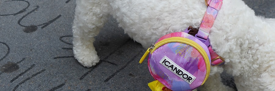 韩国ICANDOR 宠物随身包 狗狗书包牵引绳包 #MILKY WAY