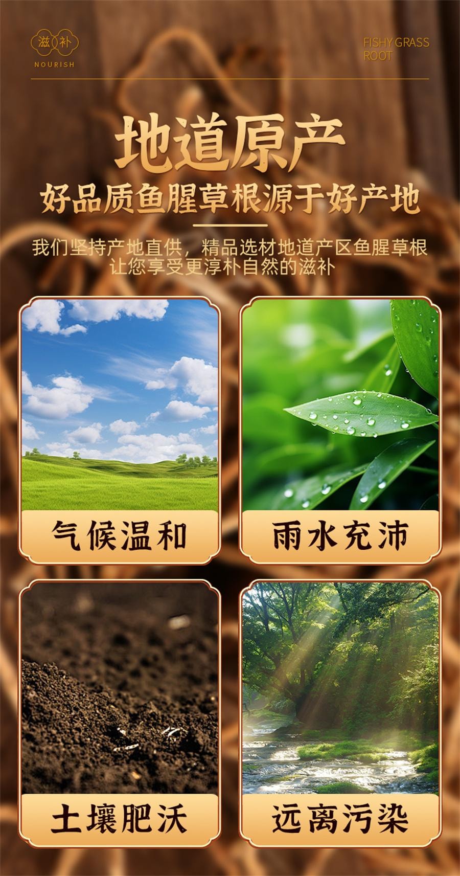 【中國直郵】 佰草令 魚腥草幹根 魚腥草泡水喝250g/袋