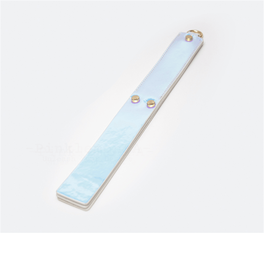 BDSM Iridescent Professional Training Bondage Set with Lead Chain and Paddle