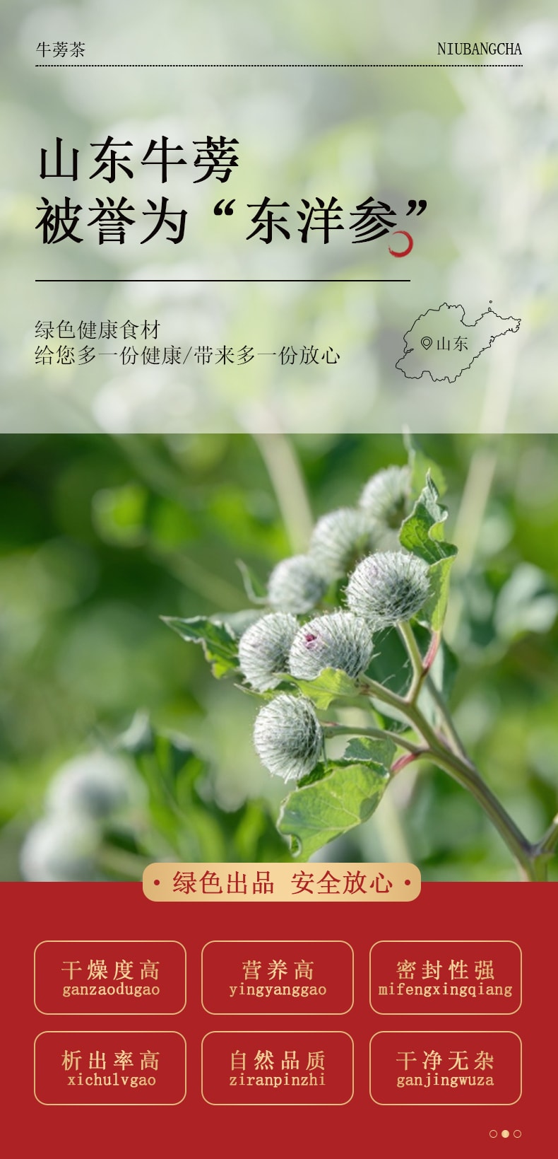 Beijing Tong Ren Tang Dried Burdock Root for Make Tea or Cook 170g