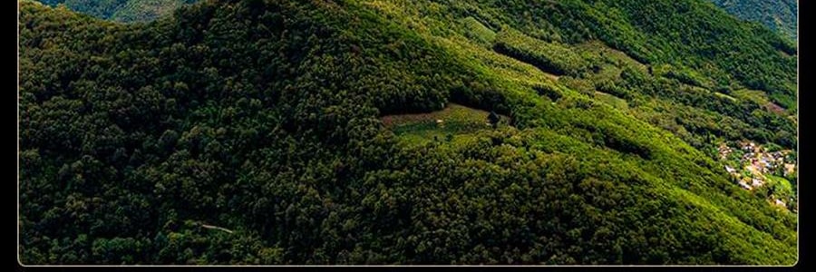 盒馬 脆皮年糕 300g【Q彈軟糯】【亞米獨家】