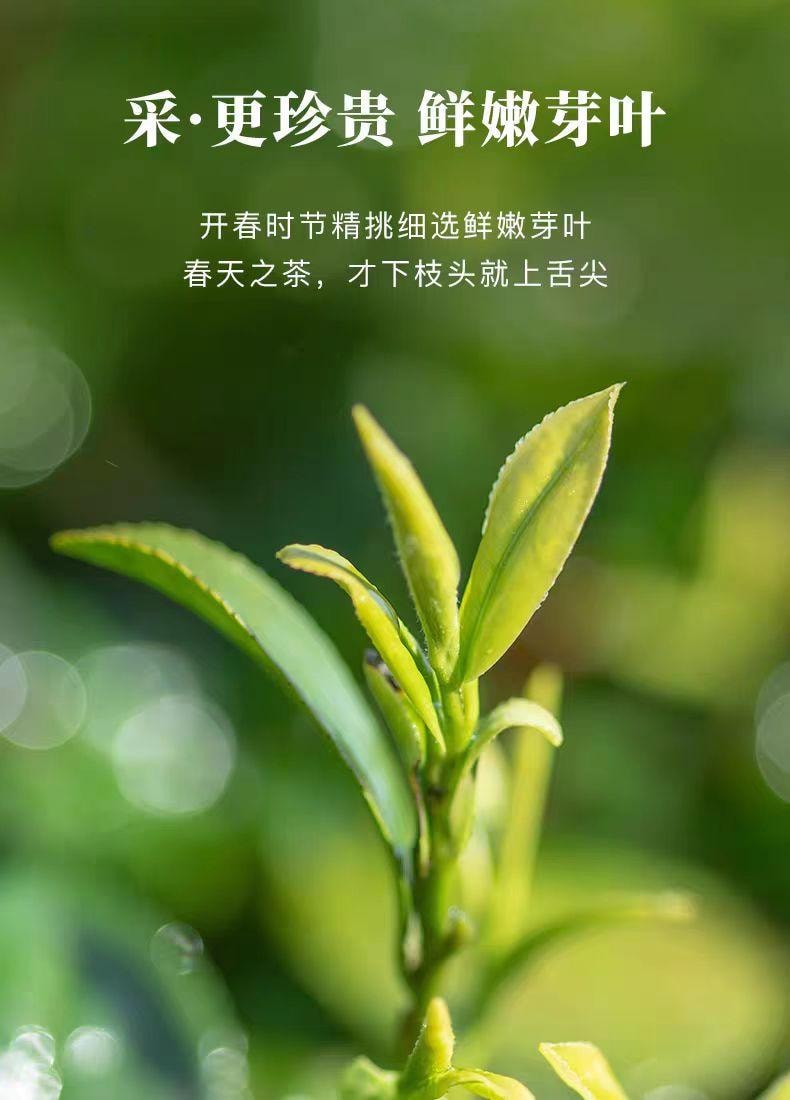 【中国直邮】 八马 龙井绿茶 浙江茶叶新茶 50g*1罐