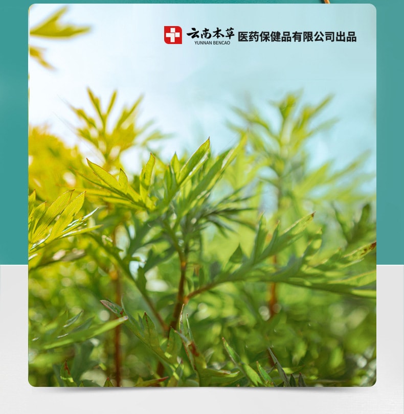 【中国直邮】云南本草 艾草颈椎贴富贵包艾叶发热艾灸贴关节贴腰椎贴肩颈膝盖贴 颈椎贴(12贴/盒)