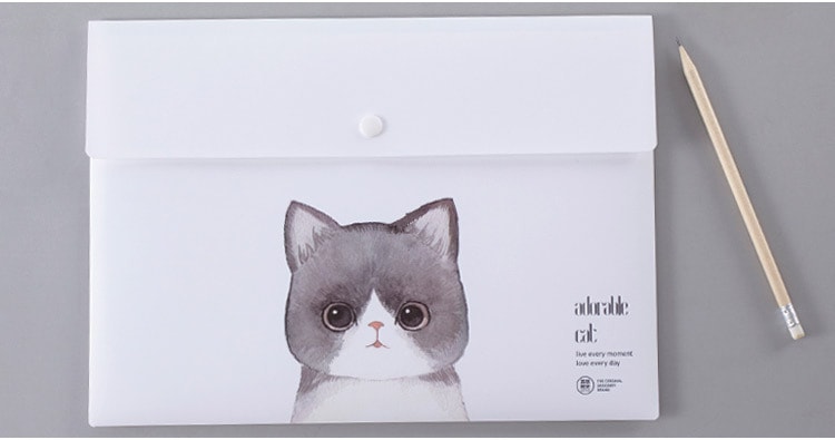 待改价审核销量低乐学办公(LEARN&WORK)  苏打猫系列按扣文件袋  白色加厚  4个装 