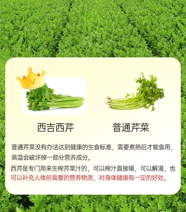 【中国直邮】 舒元康 西芹汁50ml*12袋原浆果蔬芹菜汁低卡NFC鲜榨果汁无糖轻断食饮料液体沙拉0脂