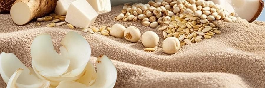 燕之坊 茯苓百合粉 500g【冲泡即食 早餐代餐】