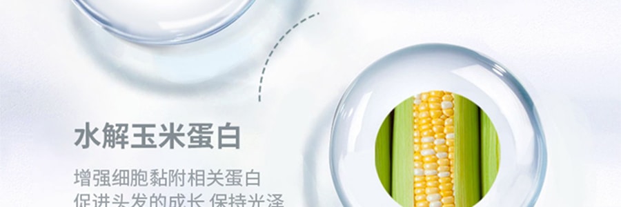 日本REVEUR 氨基酸植物干细胞香氛洗发水 滋润保湿型 500ml 小苍兰黑加仑香
