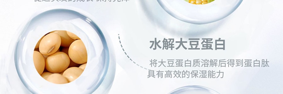 日本REVEUR  氨基酸植物干细胞香氛洗发水 控油蓬松型 500ml 茉莉柑橘香