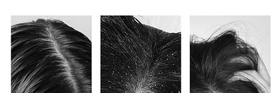 日本REVEUR 胺基酸植物幹細胞香氛洗髮精 滋潤保濕型 500ml 小蒼蘭黑加侖香