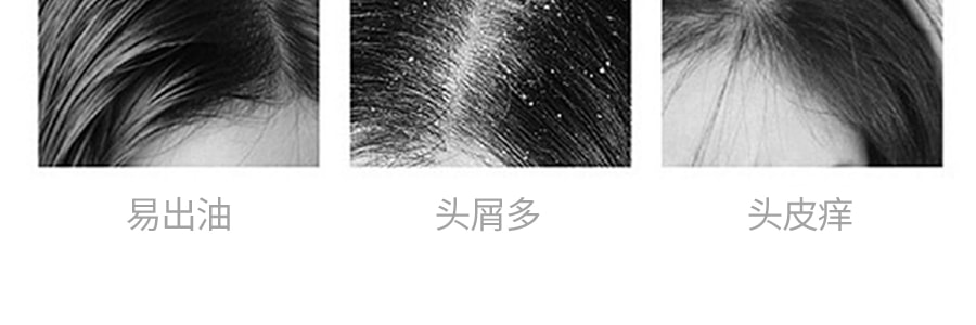 日本REVEUR 胺基酸植物幹細胞香氛護髮素 滋潤保濕型 500ml 小蒼蘭黑加侖香