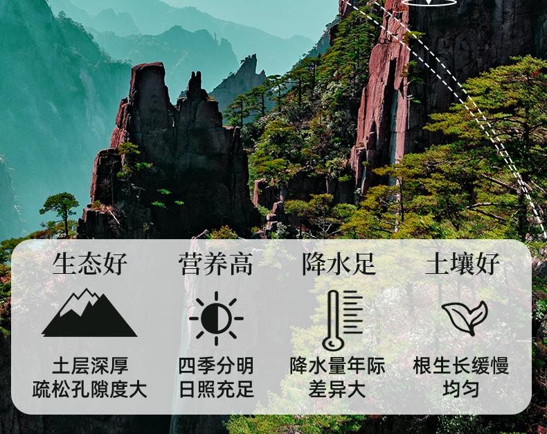 Golden Chrysanthemum 20g/can detoxify and nourish the skin