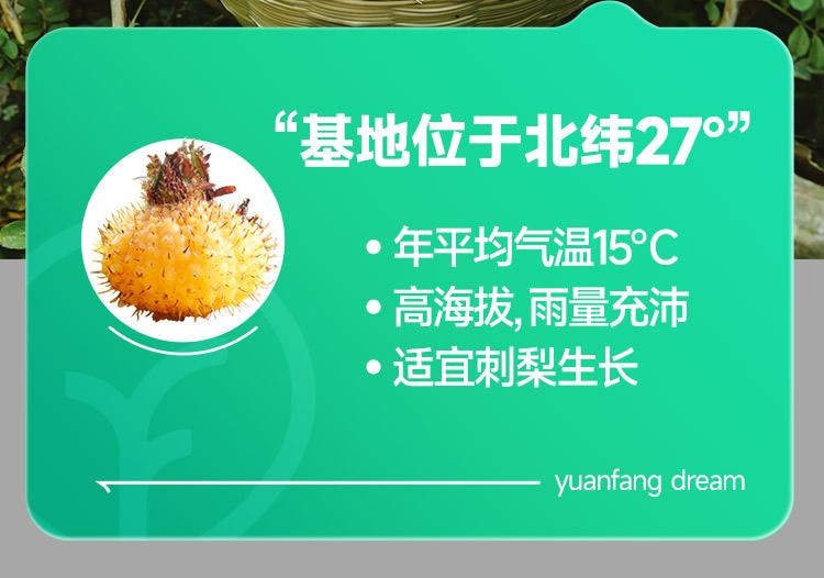 远方好物 [C味·C位 刺梨原液(含益生元) 50mlX10]  维C之王 超强美白     0色素0添加