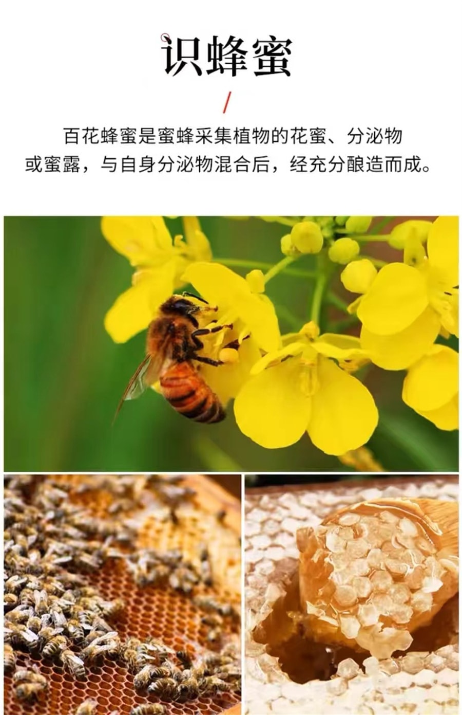 【中国直邮】百花 蜂蜜纯正蜂蜜天然蜂蜜峰蜜挤压瓶口瓶装   415g/瓶