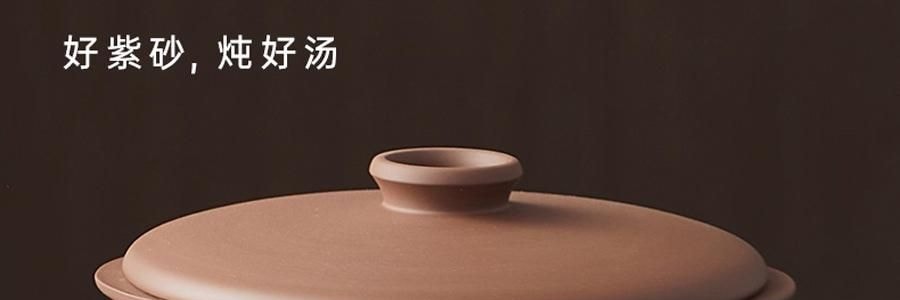 BEAR小熊 紫砂电炖盅套装 燕窝养生隔水炖盅全自动煲汤 大容量家用砂锅 4.5L大内胆 DDZ-B45Z1