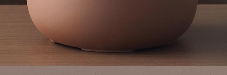 BEAR小熊 紫砂电炖盅套装 燕窝养生隔水炖盅全自动煲汤 大容量家用砂锅 4.5L大内胆 DDZ-B45Z1