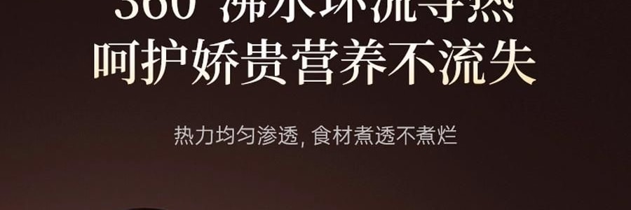 BEAR小熊 紫砂电炖盅套装 燕窝养生隔水炖盅全自动煲汤 大容量家用砂锅 4.5L大内胆 DDZ-B45Z1